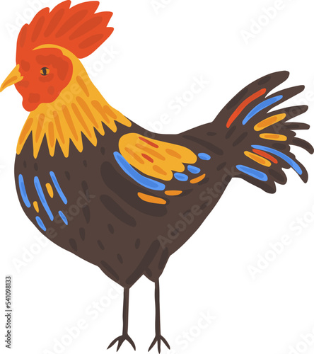 Cock bird with color feathers in cartoon style