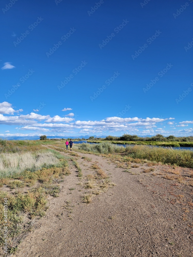 road to the sea