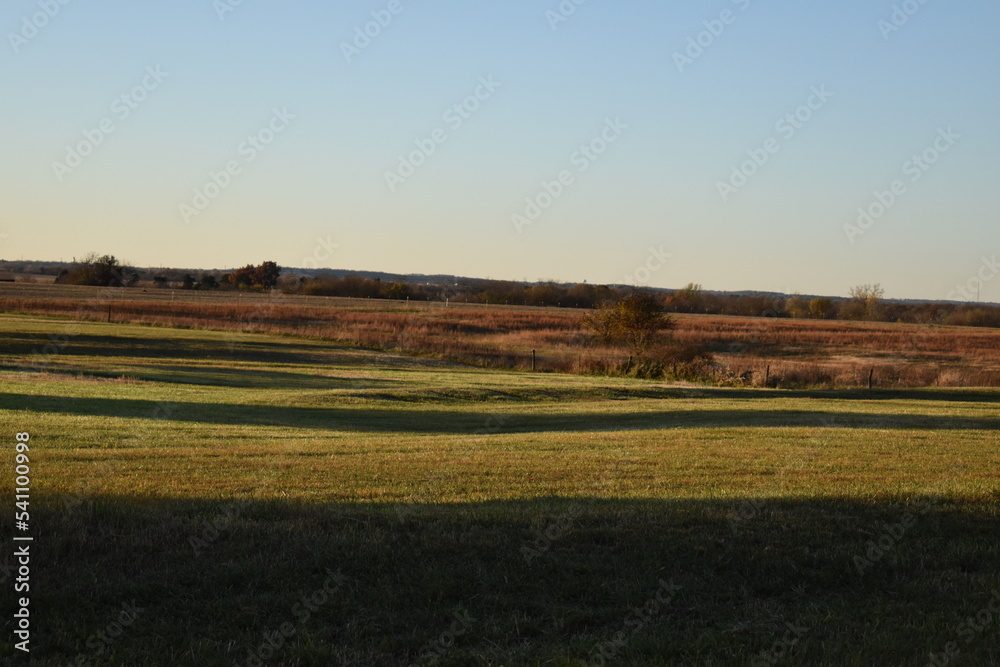 Green Grass in a Farm Field