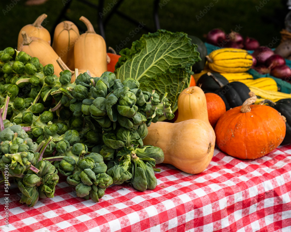 Manchester, VT - USA - Oct 9, 2022 Horizontal image of Brussels sprouts, pumpkins, gourds, red onions, and cabbage on a red and white checkered tablecloth at a Farmers Market,