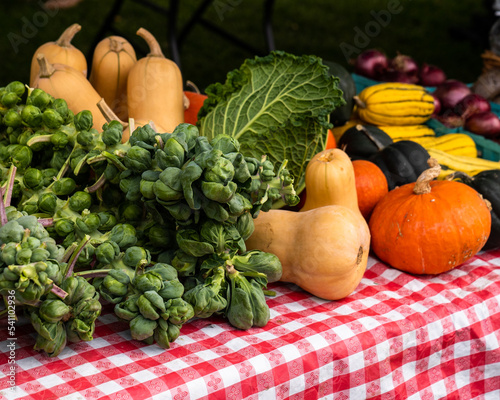 Obraz na płótnie Manchester, VT - USA - Oct 9, 2022 Horizontal image of Brussels sprouts, pumpkins, gourds, red onions, and cabbage on a red and white checkered tablecloth at a Farmers Market, w salonie