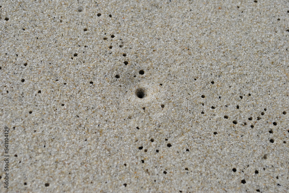 Large boot prints next to small foot prints walking together in the sand Large boot prints next to small foot prints walking together in the sand