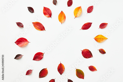 Creative layout with colorful autumn fall leaves on white background.