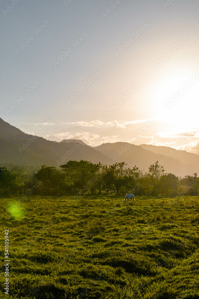 Fototapeta premium atardecer en las montañas 