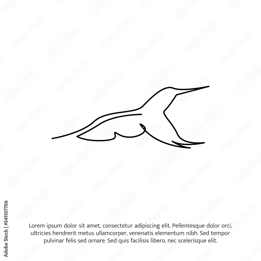 Hummingbird one continuous line drawing. Cute decoration hand drawn elements. Vector illustration of minimalist style on a white background. Hummingbird one continuous line drawing. Cute decoration hand drawn elements. Vector illustration of minimalist style on a white background.