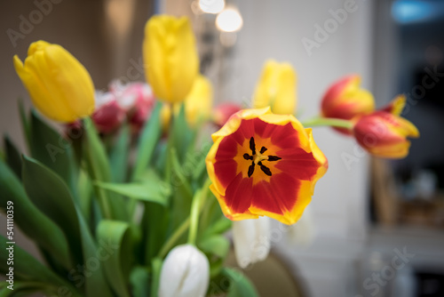 Colorful flowers