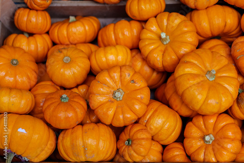 Decorative orange pumpkins on display at the market. Harvesting, Halloween and Thanksgiving concept. High-quality photo © Ekaterina