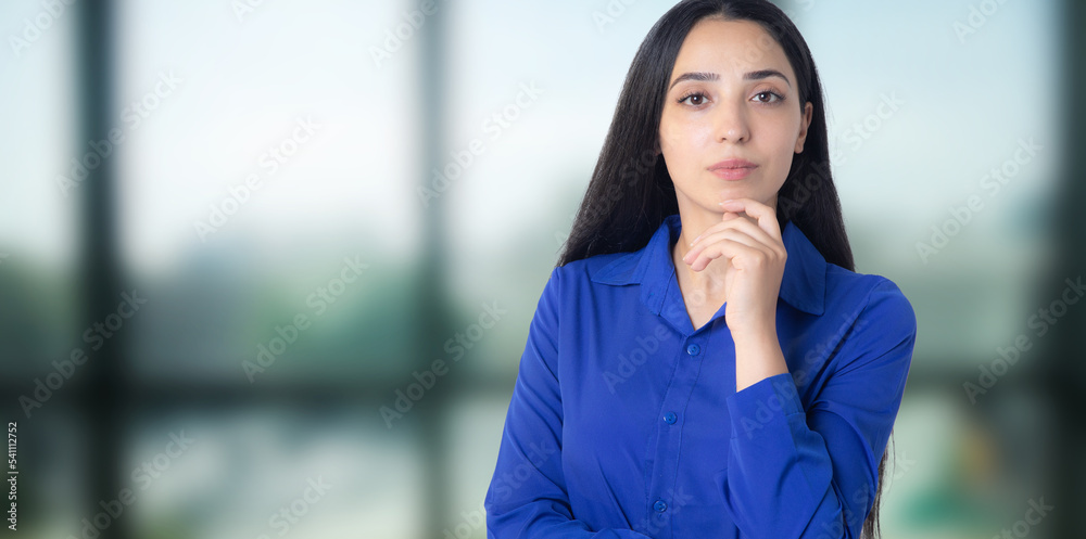Fototapeta premium business woman looking thoughtfully
