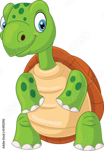 Cartoon turtle on white background