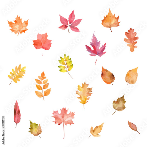 Set of colorful autumn leaves. Watercolor vector illustration 