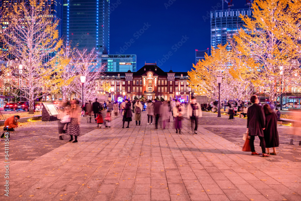 東京駅　銀杏並木とイルミネーションの夜景