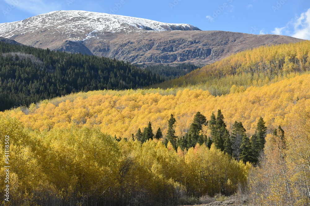 Autumn colors and snow-capped peaks