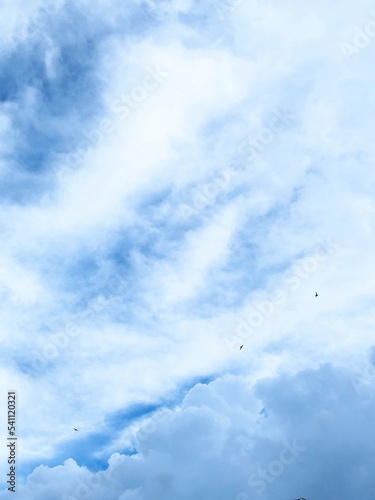 The Swallow Martin Bird After The Rain Marble Sky. Beauty sky. Heaven Sky  Clear Sky. Cloud mood.