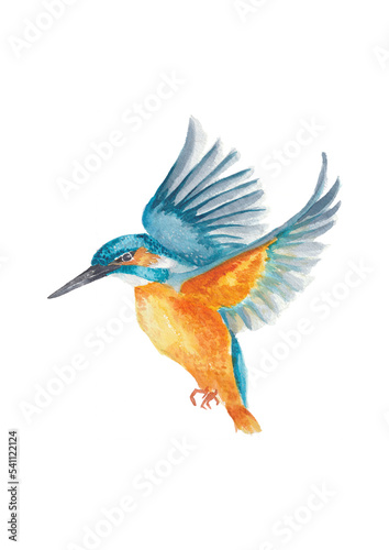 Kingfisher bird. Hand-drawn watercolor illustration. Turquoise and orange colors. © Mary