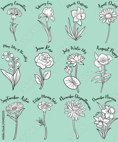 This collection of the floral vectors is perfect for adding that special touch to any event. Whether you're planning a baby's first birthday, or a romantic anniversary celebration.