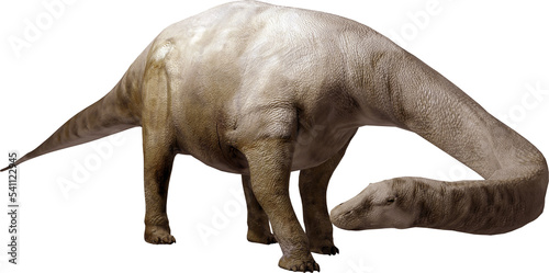 Картината върху платно Brontosaurus on transparent background