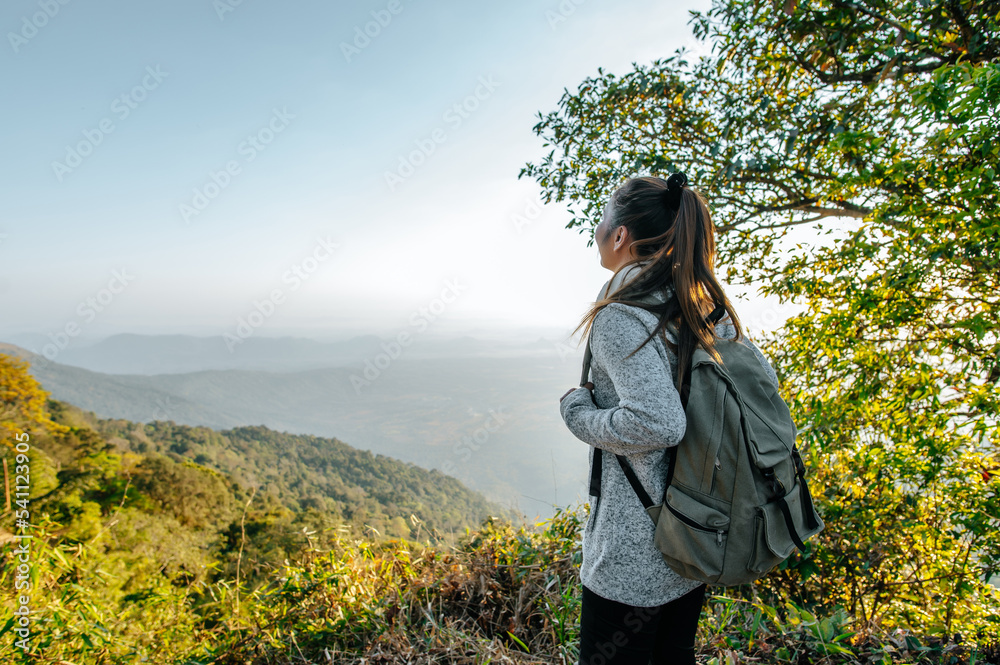 Obraz premium Young hiker woman standing on rocky and looking view