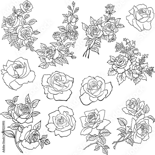 Rose Clipart, Floral Line Art, Outline Flower Clipart, Hand Drawn Vector Flowers, Botanical, Wedding Graphic.