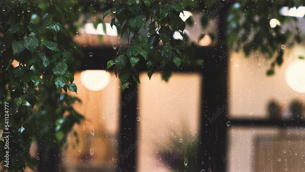 Rain and raindrops falling on the windows and leaves, and the sound of fresh showers and rain on a summer night

