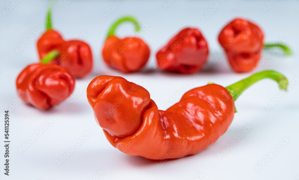mehrere natürlich gewachsene reife Chili in der Form eines Penis