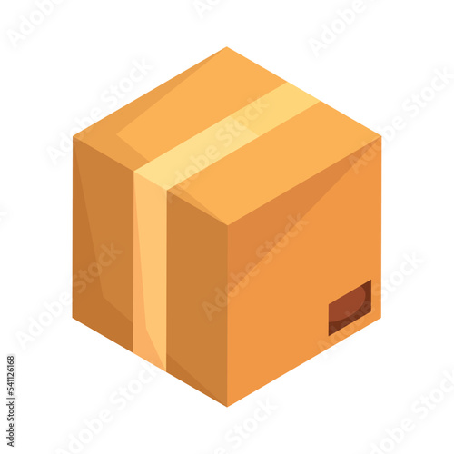 delivery box carton pack