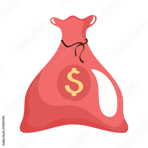 red money dollars bag