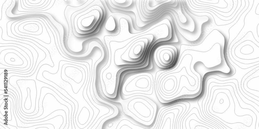 Abstracts topographic map background. Line topography map and mounte contour background, geographic grid. Abstract vector illustration.