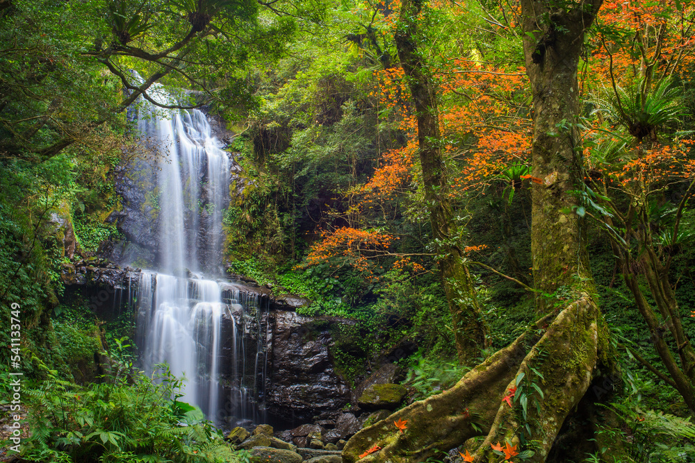 Fototapeta premium Yunsen Waterfall in autumn, Three Gorges, New Taipei City, Taiwan