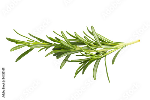 Fototapeta Rosemary leaf herbal is spices isolated on alpha background