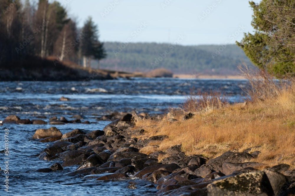 Autumn view of  The Torne rapids . Border river of Sweden and Finland