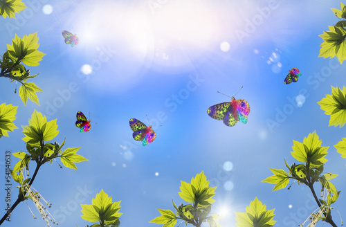 Spring background with fresh green leaves and colorful butterfly. Bright blue sky with sunlight bokeh. Vivid spring landscape.  Banner  copy space. Atmospheric mood