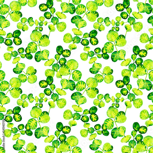 Watercolor green round peperomia leaves seamless tropical pattern on white background