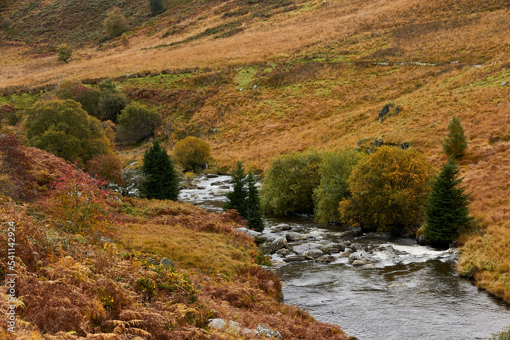 Elan Valley Stream 2