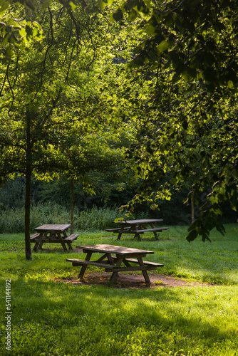 Des tables de piquenique en bois sous des arbres. Une aire de piquenique agréable. Une zone de piquenique