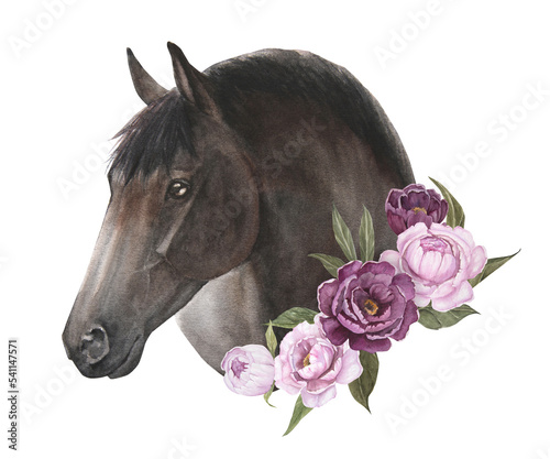 Watercolor illustration of a dark horse with delicate peonies isolate photo