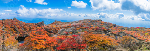 大船山は九重連山で3番目に高い山,春はミヤマキリシマの大群落,秋は紅葉のグラデーション,冬は雪化粧と四季を通じて心を惹きつける