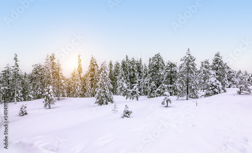 Snowy forest landscape in Finland.
