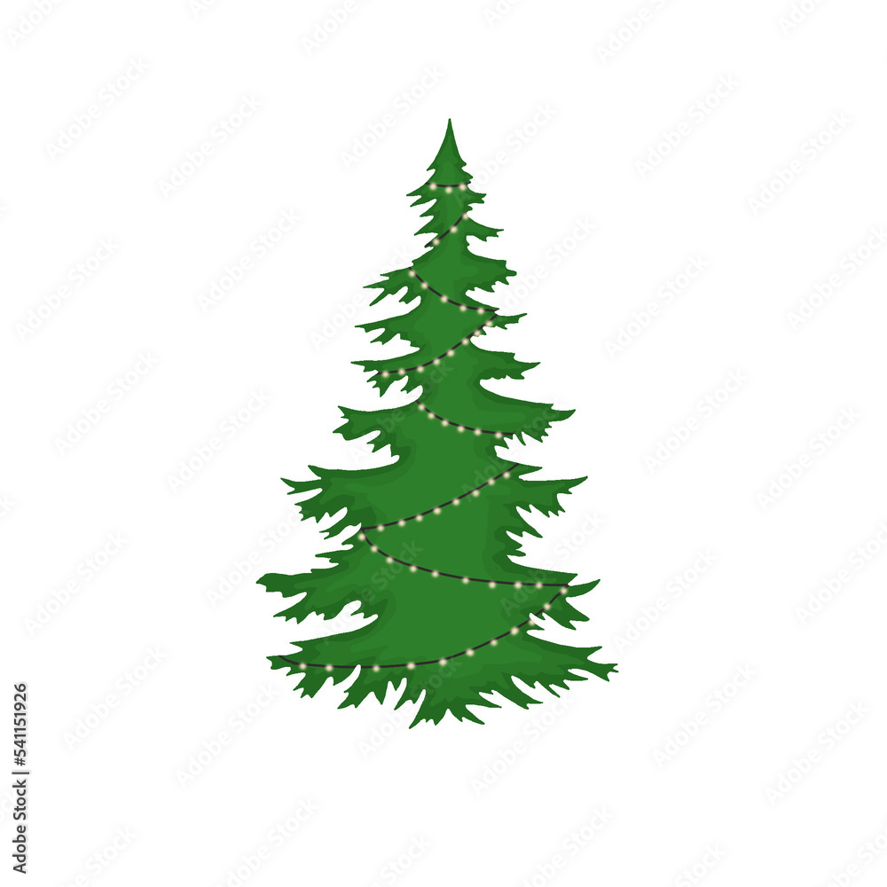 Spruce Spruce