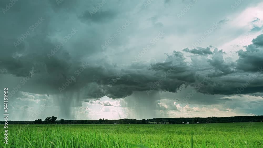 4K time-lapse, timelapse. Rainy Sky With Rain Clouds On Horizon Above Countryside Rural Field Landscape With Young Green Wheat Sprouts In Spring Springtime Summer Day. Young Wheat Shoots On