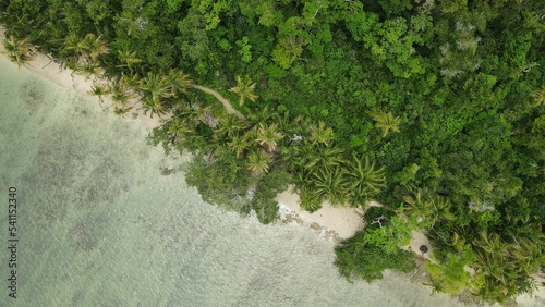 Aerial view of Paradies Beach in the National Park of Cahuita, Costa Rica photo