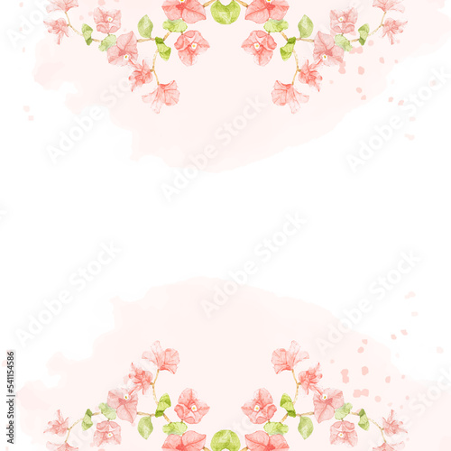 watercolor pink Bougainvillea on pink splash square banner background for wedding or birthday invitation card