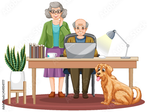 Senior couple using laptop at home
