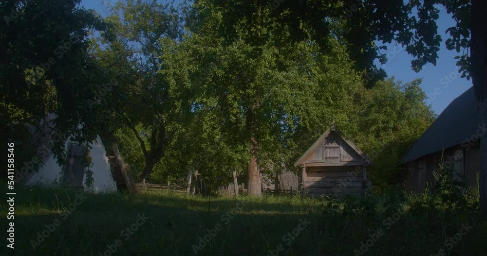 Old wooden rural houses on a sunny summer day among the trees. The wind shakes the branches of green trees and foliage. Beautiful nature Old wooden rural houses on a sunny summer day among the trees. The wind shakes the branches of green trees and foliage. Beautiful nature