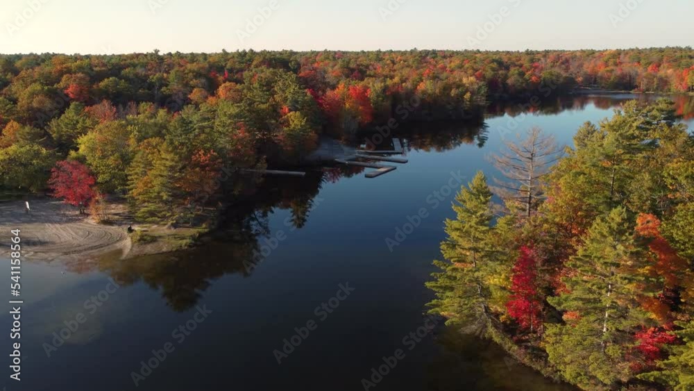 Aerial view orbiting tranquil woodland colourful seasonal autumn treetop foliage Aerial view orbiting tranquil woodland colourful seasonal autumn treetop foliage