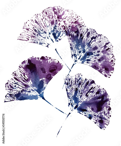 Ginkgo leaves watercolor art illustration isolated, purple