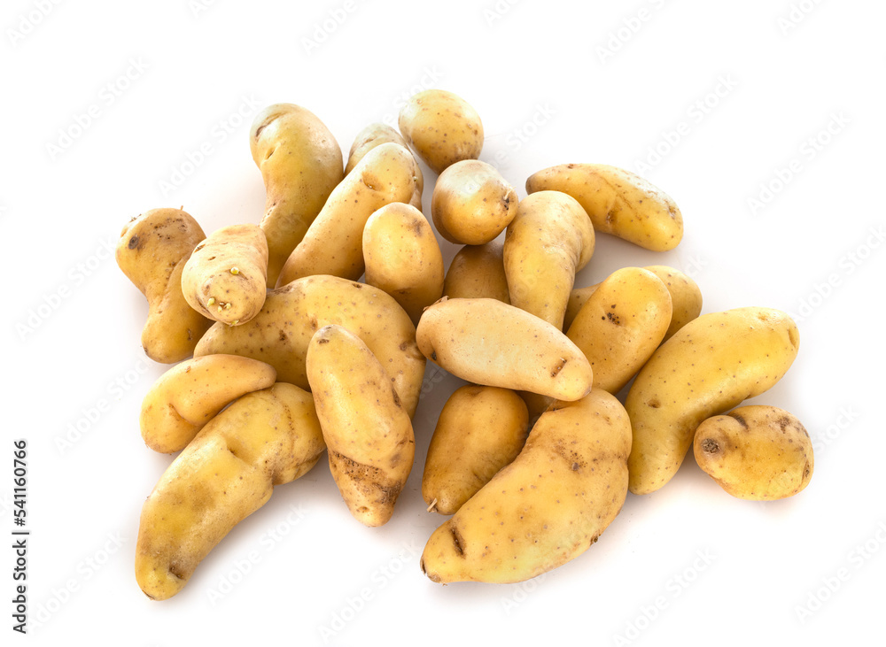 Ratte potato in studio Ratte potato in studio