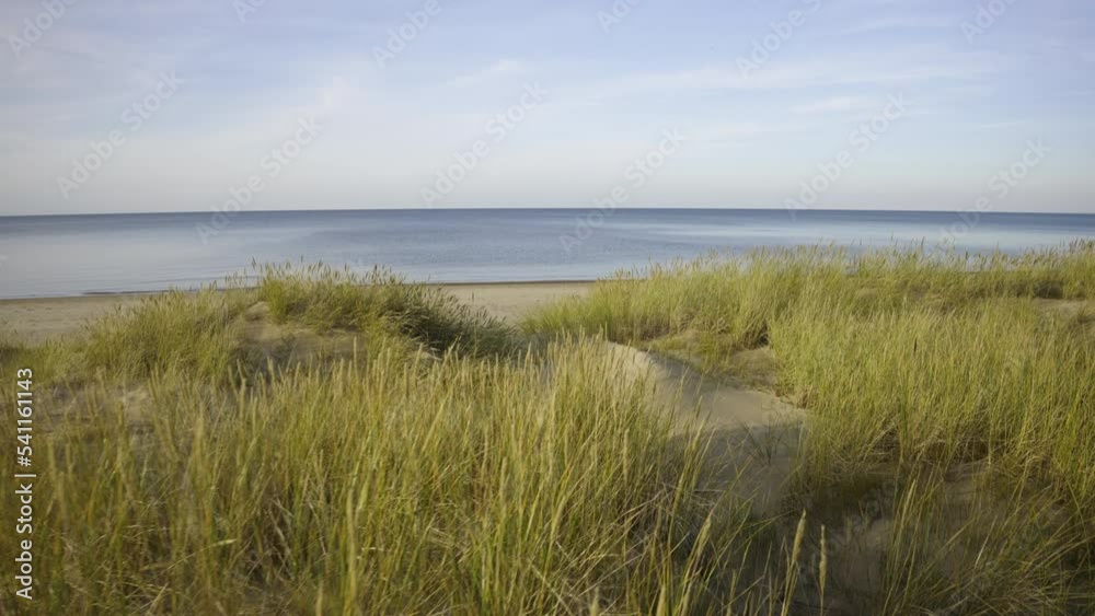 The wind shakes tall grass on the sandy beach of the Gulf of Riga. Autumn sunny day in the Baltic. Blue clear sky over the clear sea horizon. Latvia The wind shakes tall grass on the sandy beach of the Gulf of Riga. Autumn sunny day in the Baltic. Blue clear sky over the clear sea horizon. Latvia