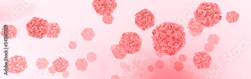 Poliovirus, illustration photo