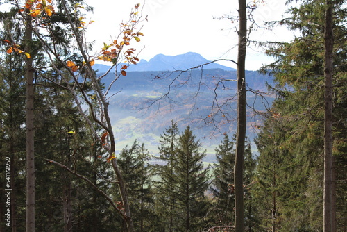 Buchberg