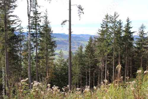 Buchberg